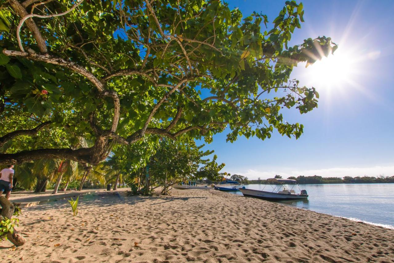 Апартаменты Khalkob'S Estate Placencia Экстерьер фото