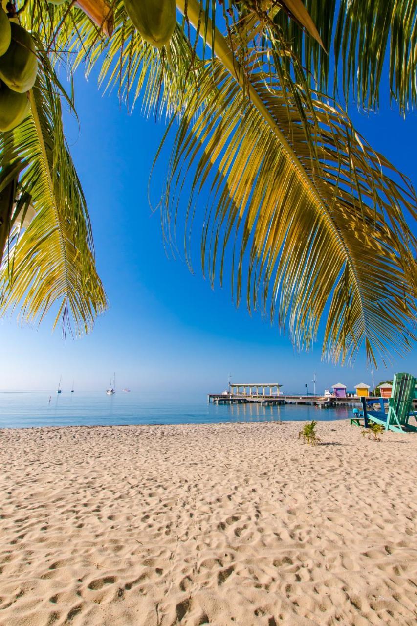 Апартаменты Khalkob'S Estate Placencia Экстерьер фото