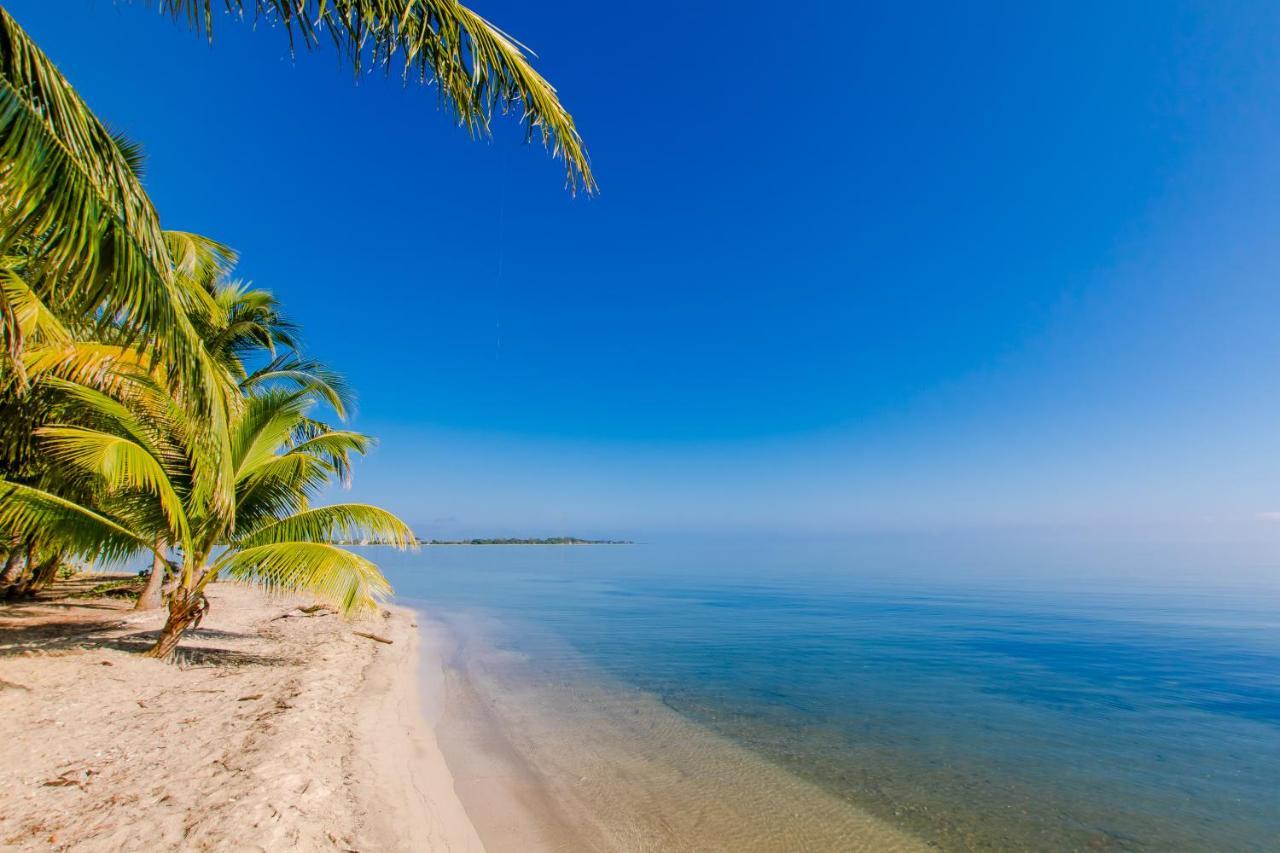 Апартаменты Khalkob'S Estate Placencia Экстерьер фото