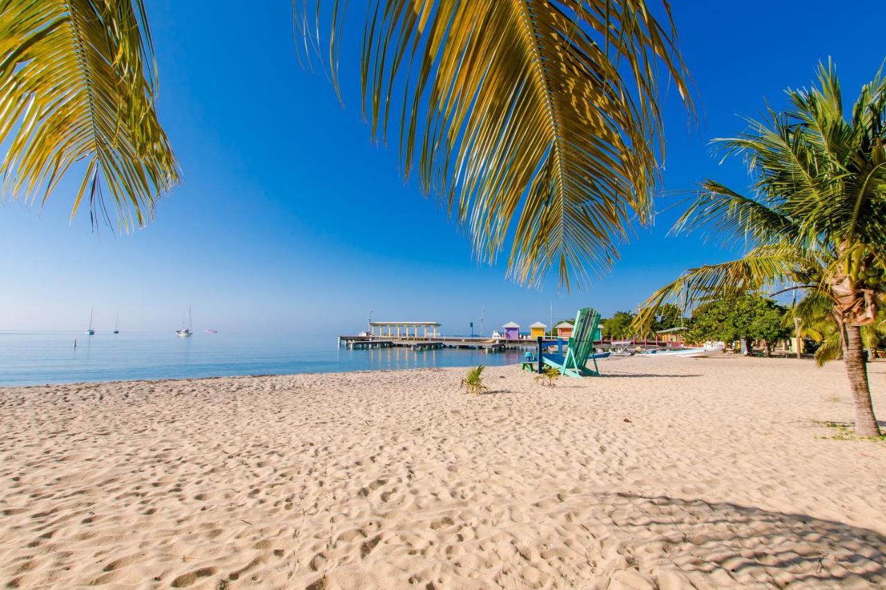 Апартаменты Khalkob'S Estate Placencia Экстерьер фото