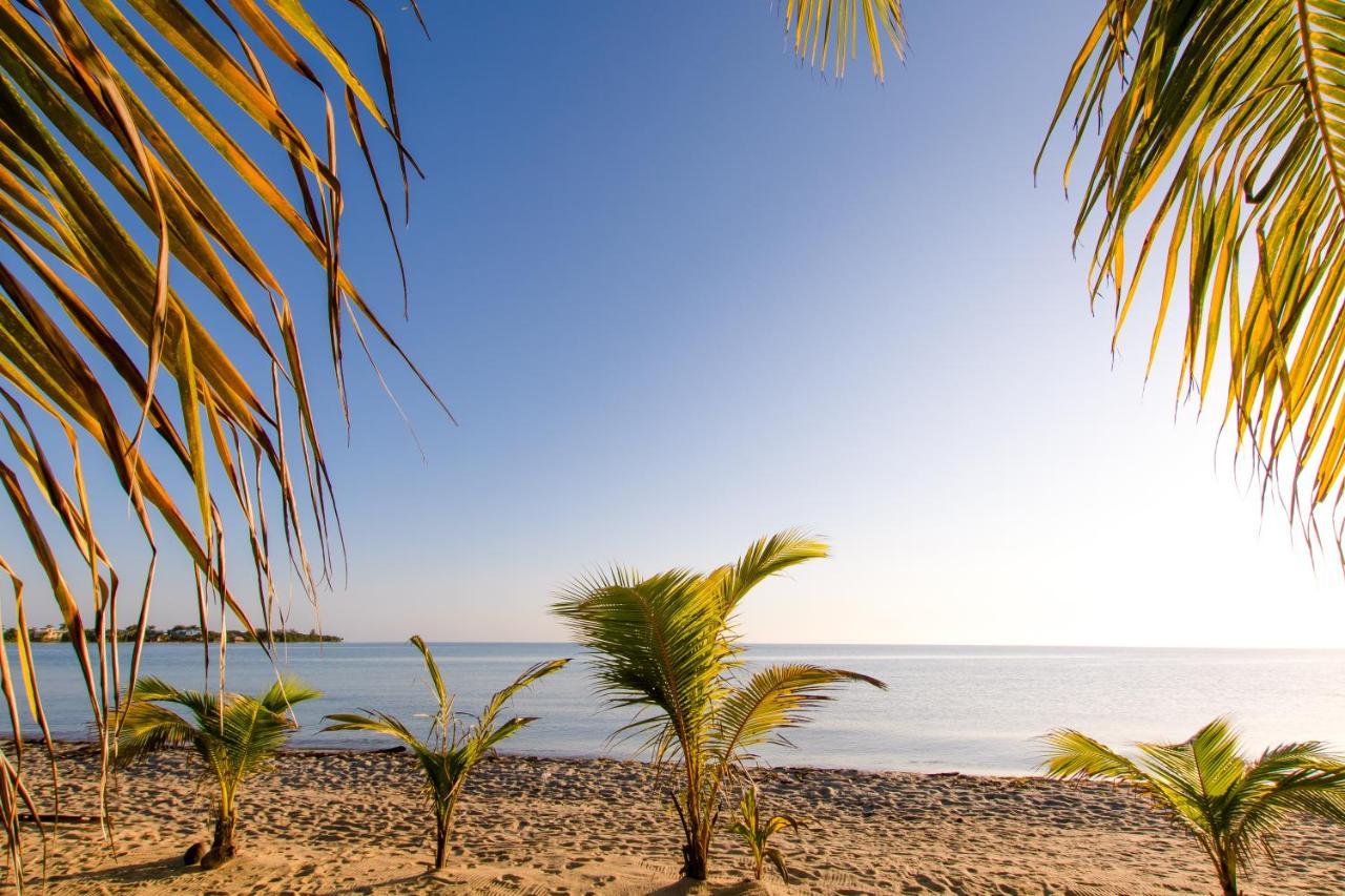 Апартаменты Khalkob'S Estate Placencia Экстерьер фото